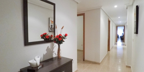 Apartment - Rental - Torrevieja - Spain