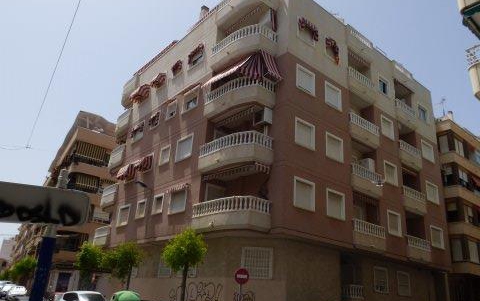 Apartamento - Alquiler - Torrevieja - Playa del Cura